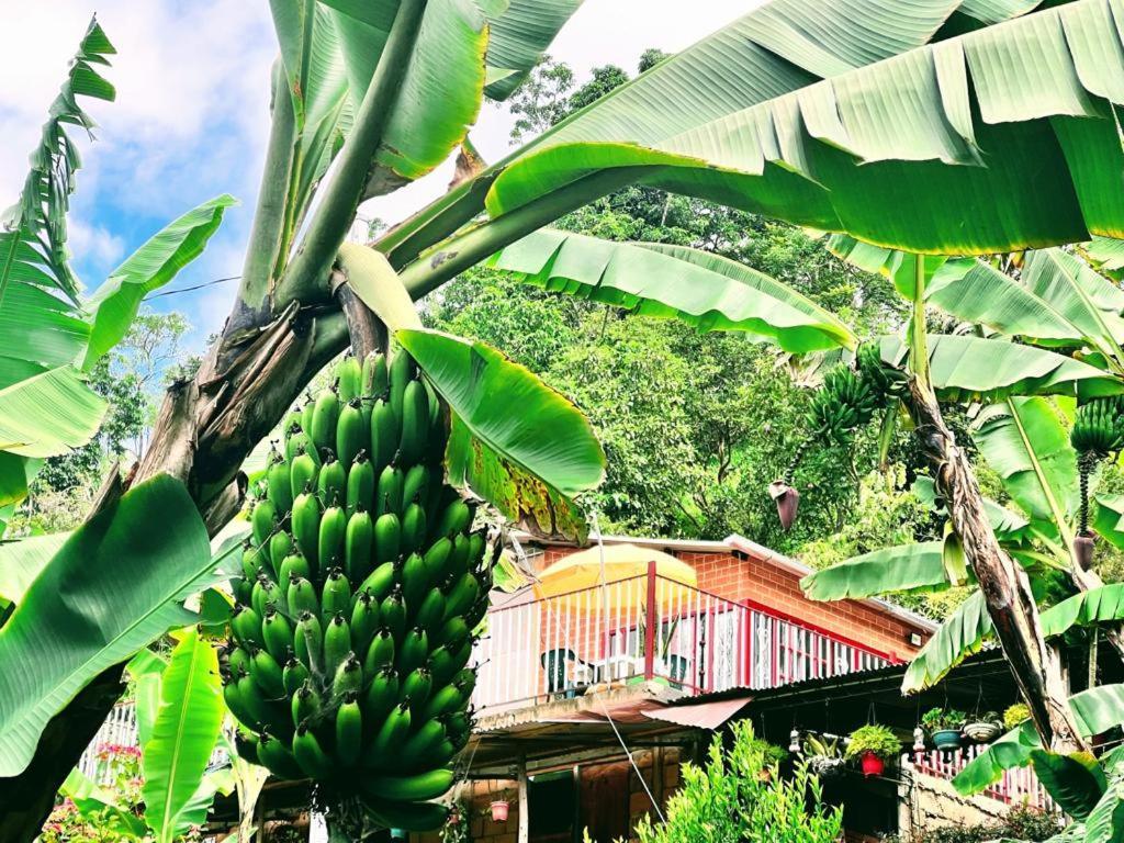 Posada Lu.Lu Choachí Esterno foto